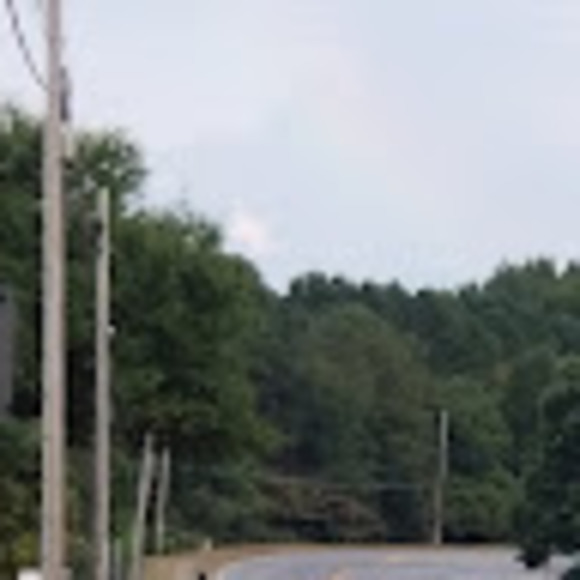 Meet your Posher, Aleaha - Picture 1 of 1